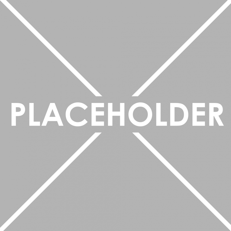Placeholder Image 1